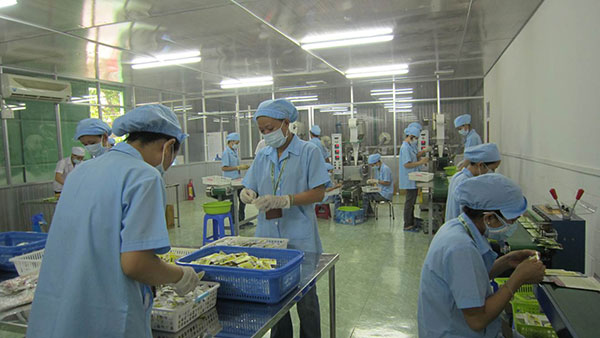 Phòng sạch sản xuất bánh kẹo